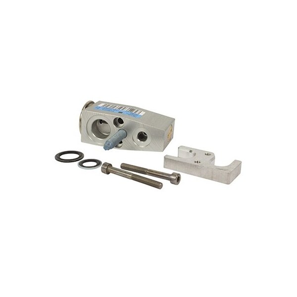 Motorcraft Motorcraft Valve Asy - Eva, Yg810 YG810 - main